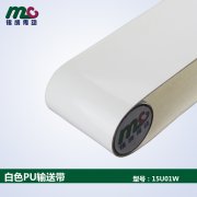食品輸送帶顏色一定要求白色嗎？